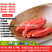 BAYO DE GOJI ORGÁNICO SECO Y SECO